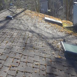 Roof Cleaning – Before 246