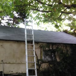 Roof Cleaning — After 123