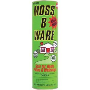 Moss-Prevention-Seattle-WA