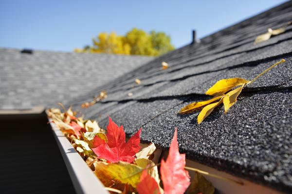 Experienced Renton gutter cleaner in WA near 98058