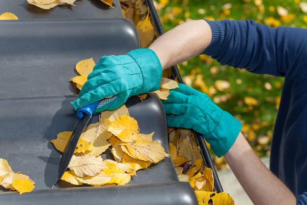 Experienced Edmonds gutter cleaners in WA near 98020