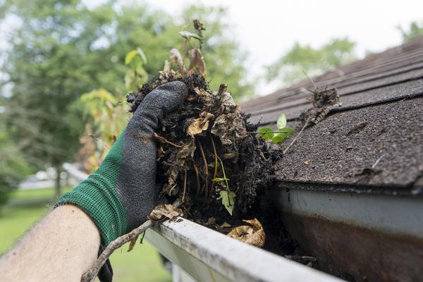 Professional Redmond gutter cleaners in WA near 98052