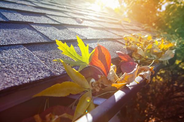 Reliable Woodinville Gutters in WA near 98072