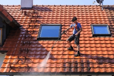 Local Shoreline roof cleaning services in WA near 98133