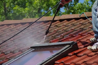 Shoreline roof cleaning professionals in WA near 98133