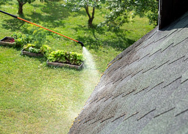 Bellevue roof moss removal professionals in WA near 98007